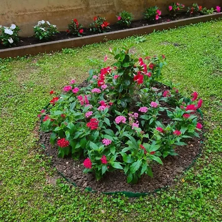 Apartamento Ivana *